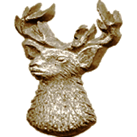 #15<br /><b>Deer Head</b>