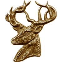 #16<br /><b>Elk Head</b>