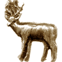 #14<br /><b>Deer (E)</b><br />R. & L. Facing