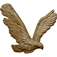 #31<br /><b>Eagle (C)</b>