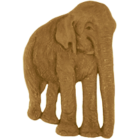 #32<br /><b>Elephant</b>