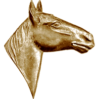 #46<br /><b>Horse Head (B)</b>