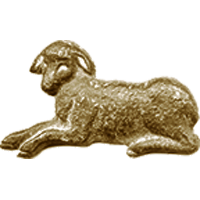 #55<br /><b>Lamb</b>