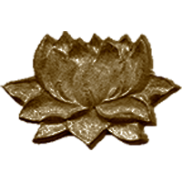 #126<br /><b>Small Lotus</b>