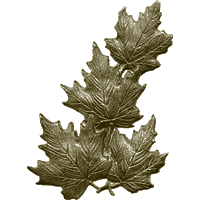 #131<br /><b>Large Maple Leaf Cluster</b><br />R. & L. Facing
