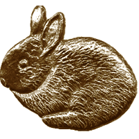 #57<br /><b>Rabbit (A)</b>